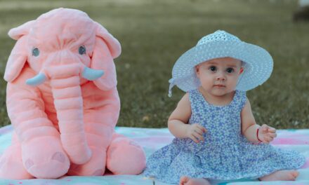 Baby Sitting  & Stuffed Toy